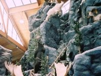 photos 2000-200901001